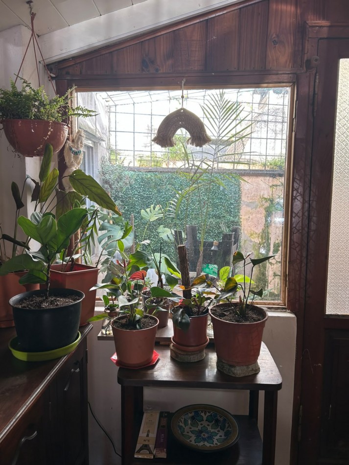 Casa 4 ambientes con pileta climatizada cubierta. Barrio Peralta Ramos oeste.