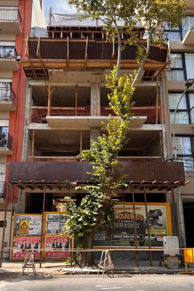 DEPARTAMENTO MONOMBIENTE A LA CALLE. ALMA DE MAR 1